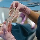 금광프라자약국 이미지