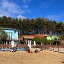 위드펫 빌리지 이미지