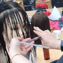 나는 우리집 미용사 이미지