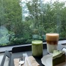 김순옥농장 | [전라남도/고창] 폭우속에서 보낸 여름휴가