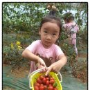수빈농원