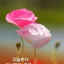만사형통