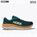 가비오타(GAVIOTA) 이미지