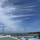 이호랑37 이미지