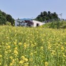 만남목장 이미지