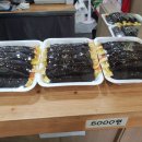 선비꼬마김밥 이미지