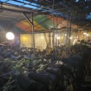 달서구청 좌측 이미지