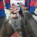 경상주유소 이미지