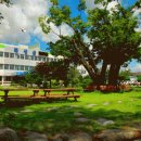 곡성삼강원 이미지