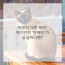 엘츠의원 이미지