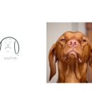 이리오개 이미지