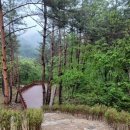 내린천빌리지 이미지