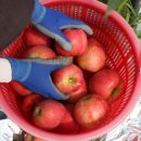 정봉농장 이미지