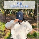 네이비 | 남여공용 데일리 자수 볼캡 추천 피율 시그니처 로고 볼캡 네이비 후기