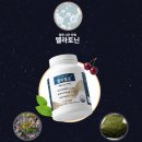 올리브영 멜라토닌 코자아 먹고 멜락플로로 바꾼 후기