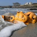 Mysterious and unexpected things that have washed up on beaches! 이미지