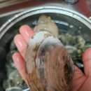 종현농어촌체험휴양마을 이미지