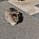 우림 더이룸푸드 이미지