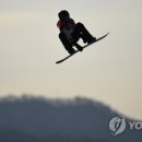 PARROT KOREA 이미지