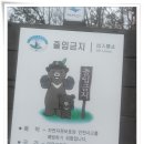 1월 25일(토) 얼음꽃 대신에 겨울비와 안개가 뒤덮혔던, "남덕유산" 산행 ③ 이미지