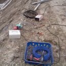 생목농장 이미지