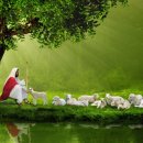 푸른초장 이미지