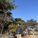 피그벨 히콕벨트 후기 : 옷장에 반드시 있어야할 치트키