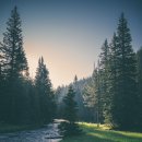 비타민나무의원 이미지