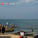 CU 속초장사항점 | 속초 스노쿨링 명소, 장사항 주차위치 가성비 돗자리 구명조끼 모래기슈퍼 대여후기