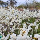 구정염소농장 이미지