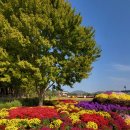 드림농원 이미지