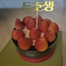 투썸플레이스삼성바이오로직스 | 두초생 사는 법 (투썸 두바이초코생크림케이크 구하기 성공🎂)