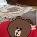 복실이 PC 이미지