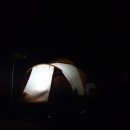 양평곤충박물관 이미지