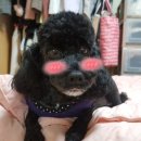 성일카센타