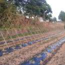 이복순농장 이미지