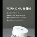 컴퍼니SS