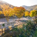 천동오토캠핑장(상) 이미지