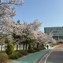 북일여자고등학교 이미지