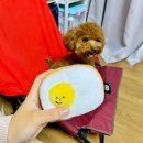 호밀공방 이미지