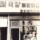 백양대리점 네이버블로그