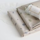 컬러리프 이미지