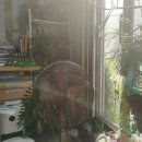 씨유 노량진고시촌점 이미지