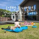 누나펜션 | 양평 강아지 동반 독채 펜션-루아나
