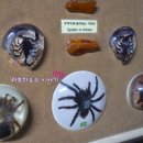 주필거미박물관 이미지