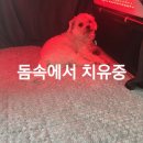태진축산물마트