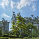 새마을부동산공인중개사사무소 이미지