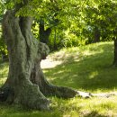 법성포 숲쟁이공원 이미지