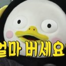 돈이 돈을 부른다. 주식 공모주 청약 후기(sk바이오팜, 이루다, 한국파마,,,)
