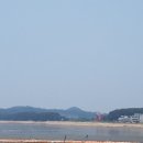 궁평리어촌계 부녀회식당 네이버블로그